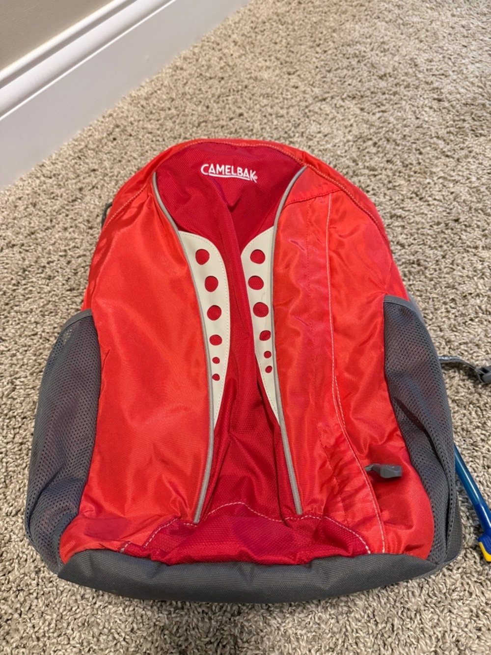 CamelBak Red and Gray Hydration Daypack